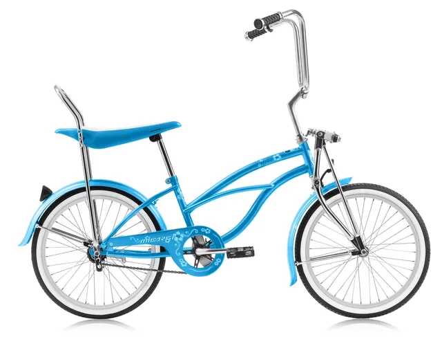 Coaster Brake 20" blue 0"