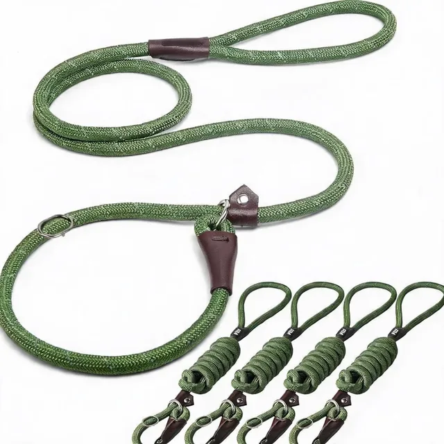 Collars & Travel 6 ft 2 in green