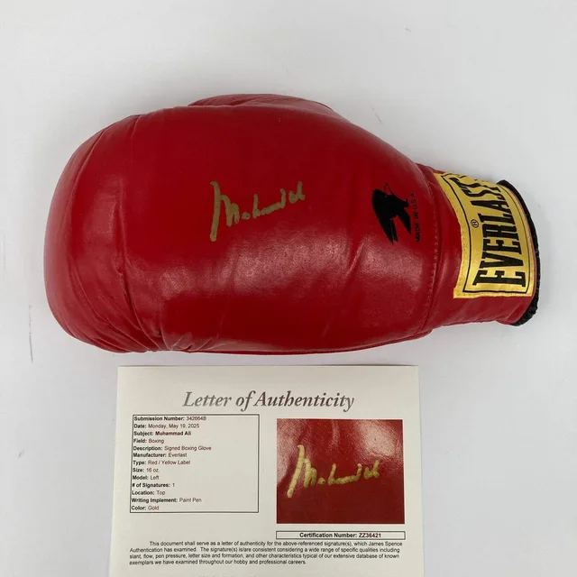 Everlast Boxing