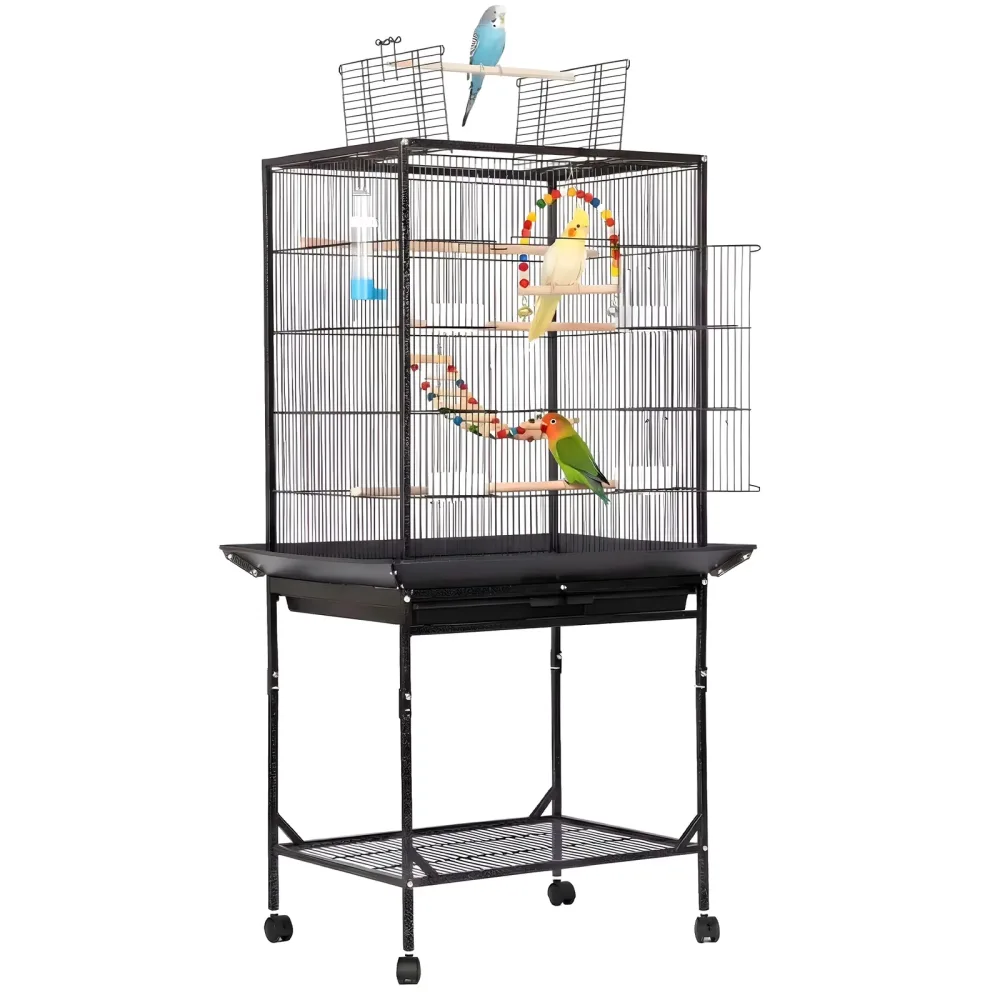 Birds 59" black