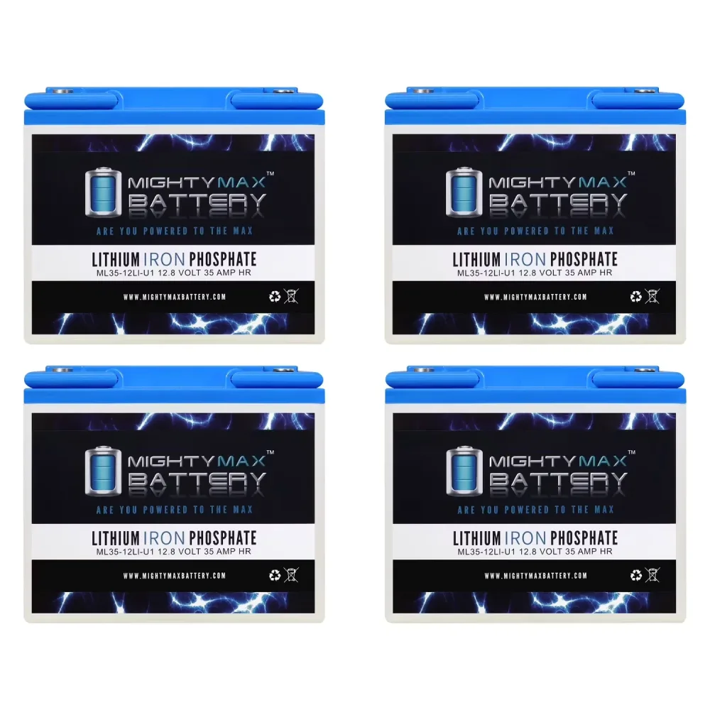 Battery 12v 4 pack 10.00 lbs