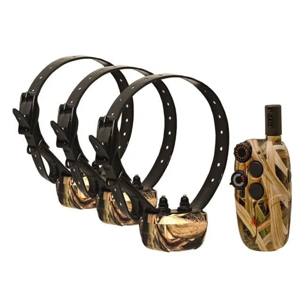 Collars & Travel 9v 7" 22"
