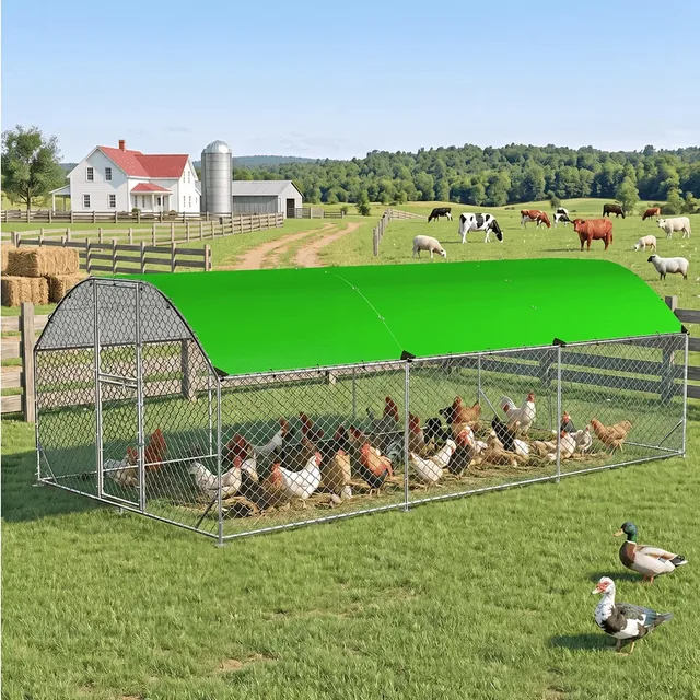 Chicken Coop 2ft 106.2" 74.8"
