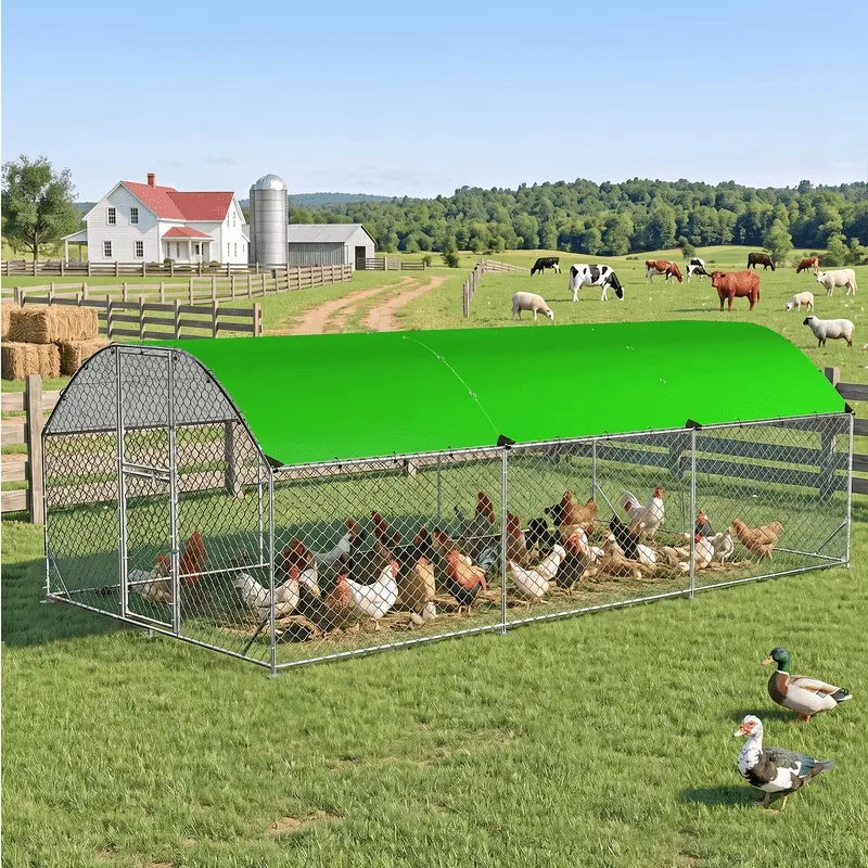 Chicken Coop 2ft 106.2" 74.8"