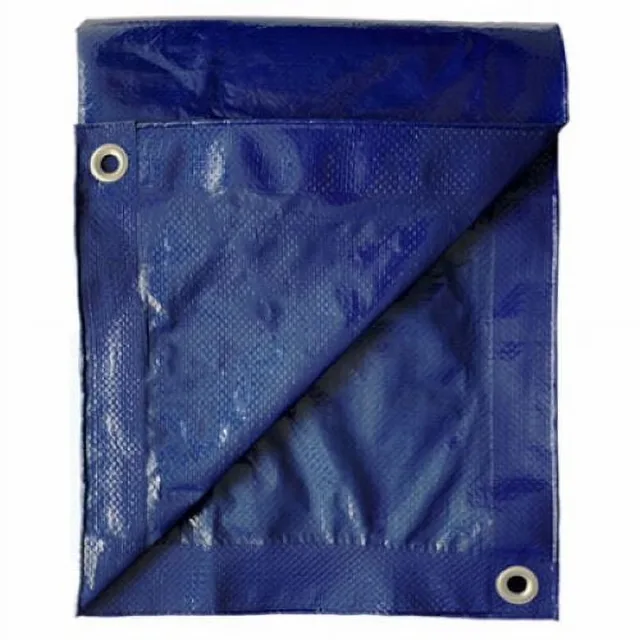 Tarp Cover 30' 50' blue