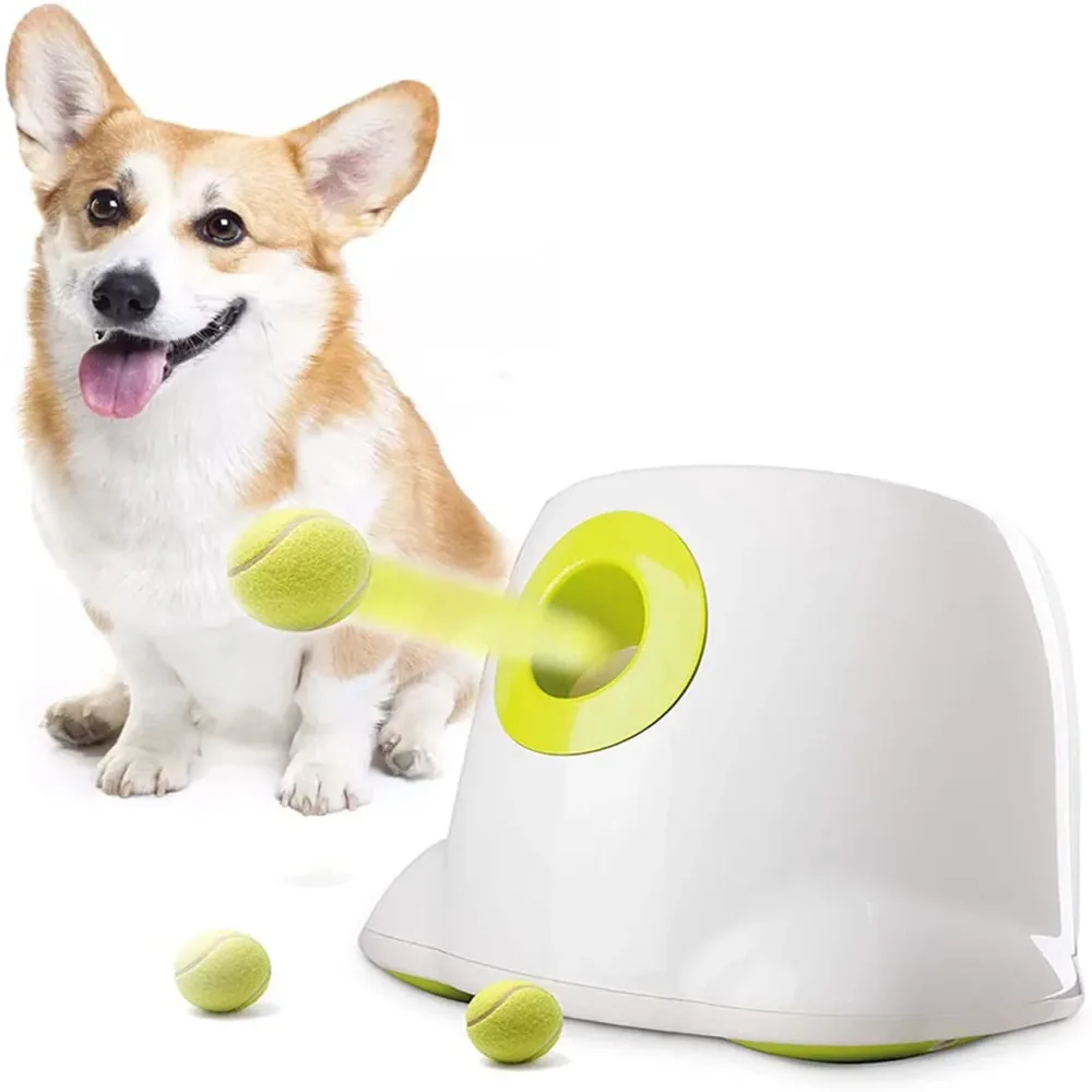 Dog Toy