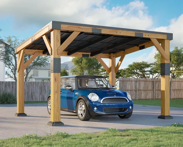 Carport 800 lbs