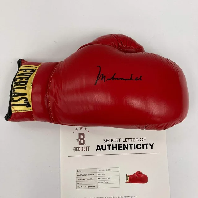 Everlast Boxing