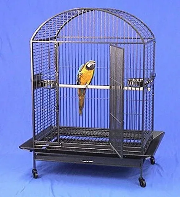 Parrot Bird 40" 30" 66.5"