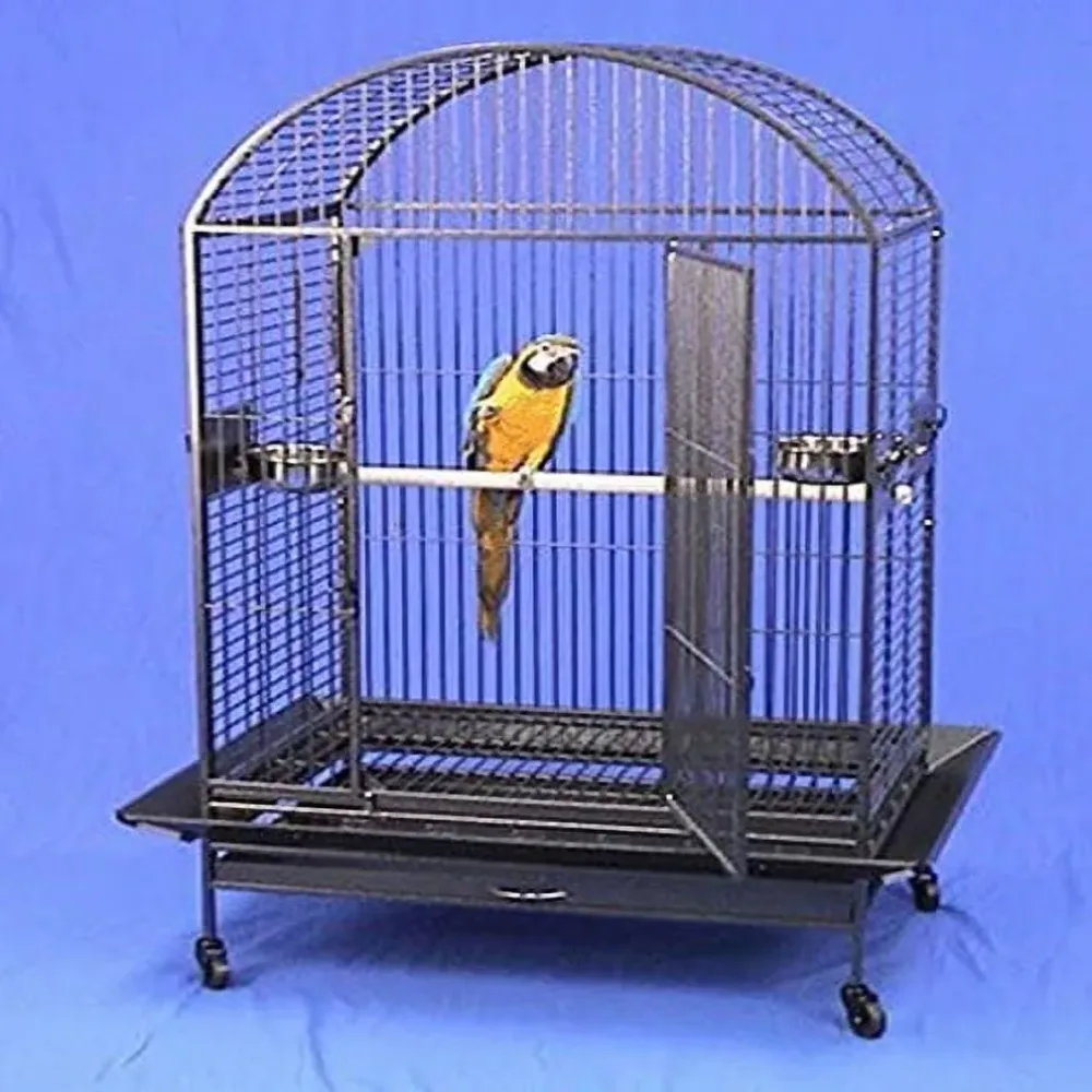 Parrot Bird 40" 30" 66.5"