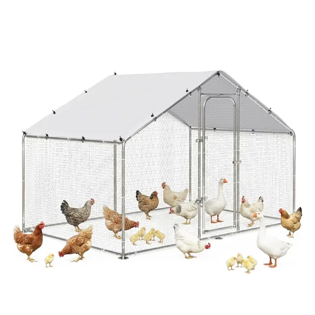 Chicken Coop 6.5' 9' 6'