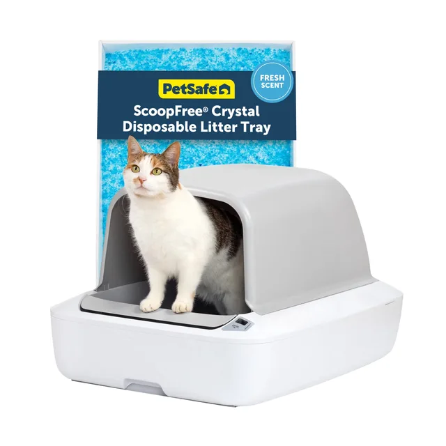 Litter Box