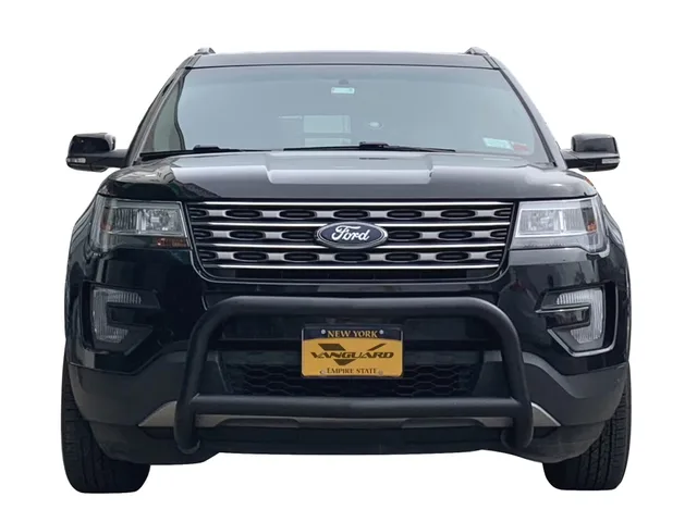 Bumpers & Grille Guards black
