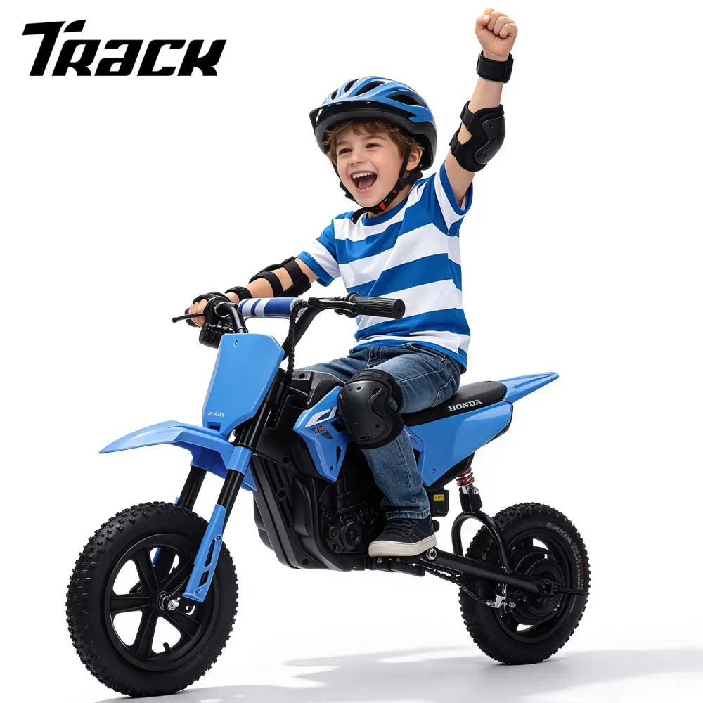 Dirt Bike 24v 12" bluetooth
