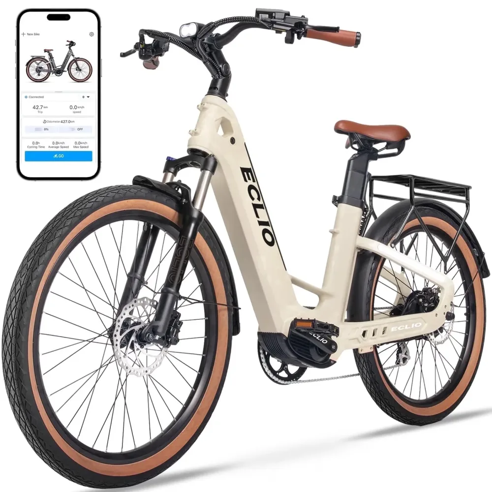 Electric Bike 26" 750w 48v