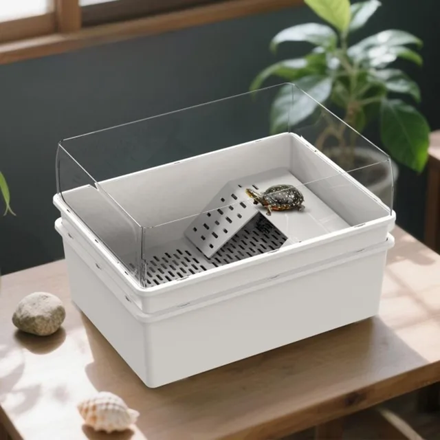 Turtle Tank