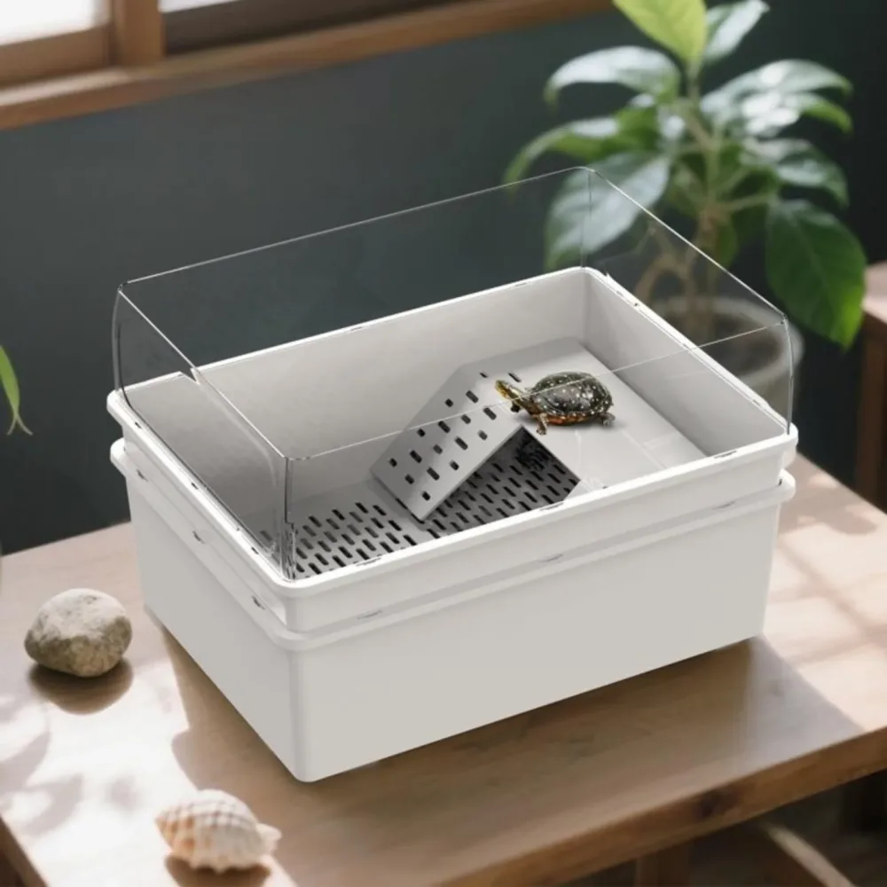 Turtle Tank