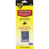 Fly Trap white