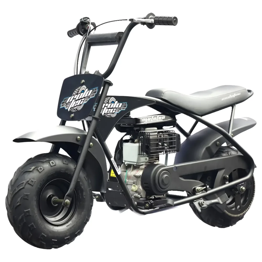 Bike 3.5 hp 110 lb gray