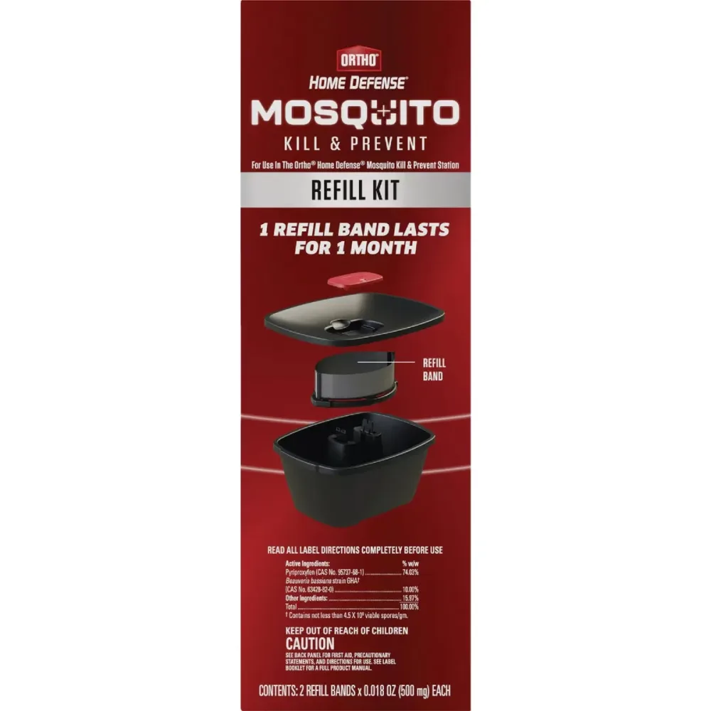 Mosquito