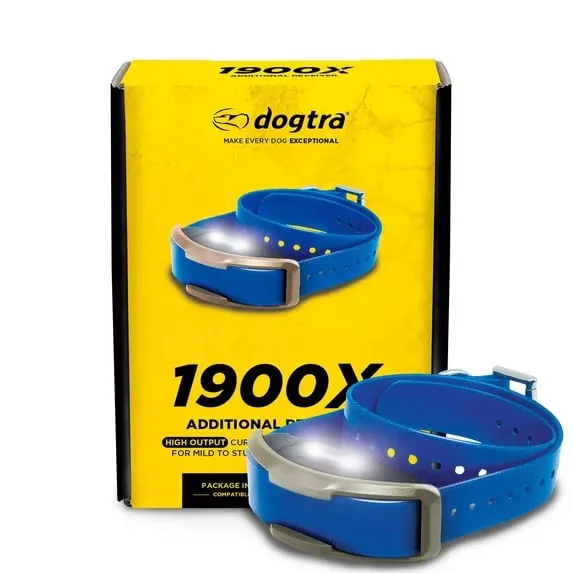 Collar Mile led waterproof blue