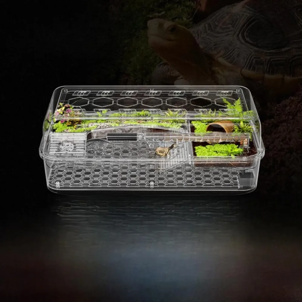 Reptile Care 20cm green