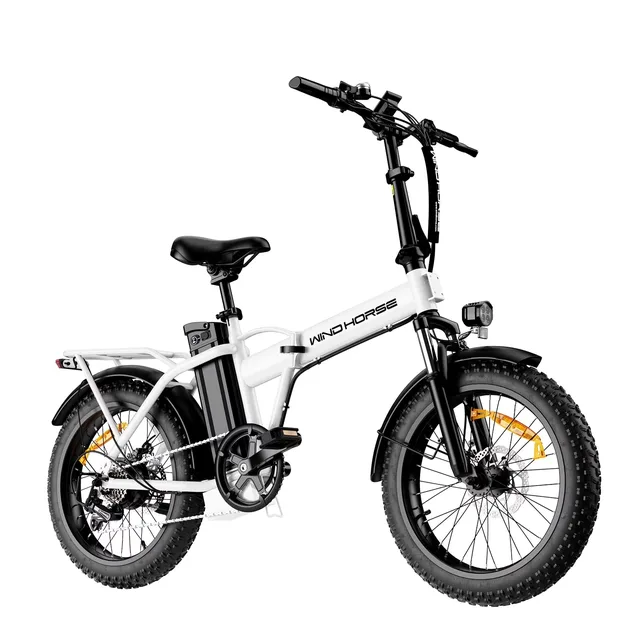 Electric Bike 983w 48v 20"