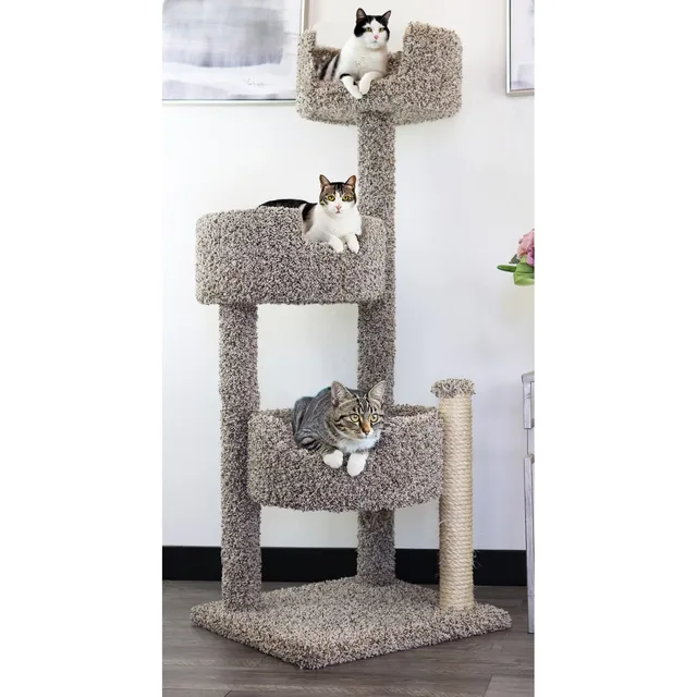 Furniture & Enrichment 23" 51.5" 24"