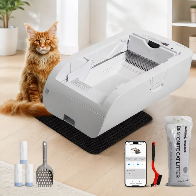 Cat Litter