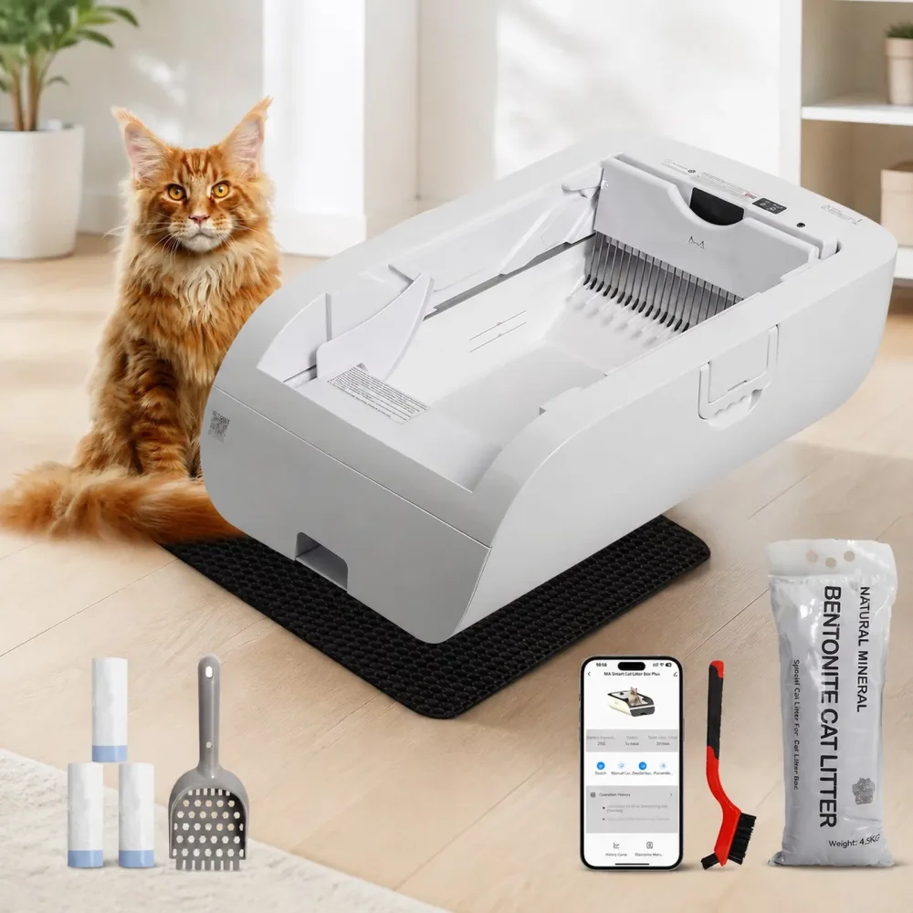 Cat Litter
