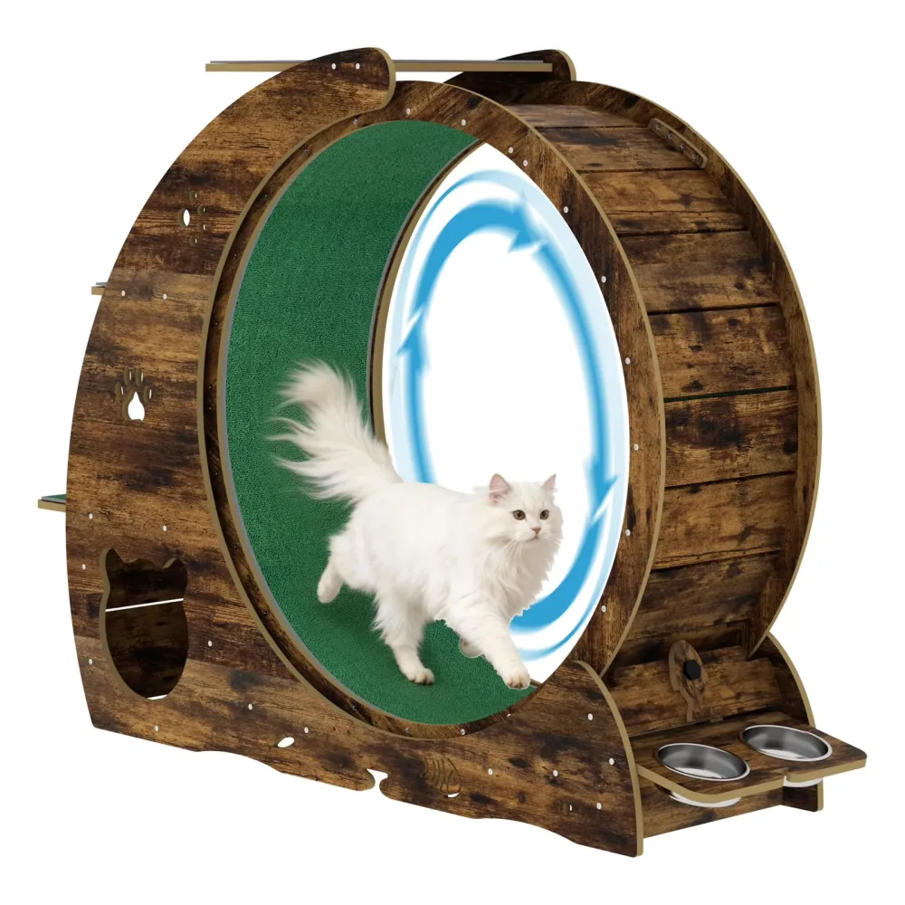 Cat Wheel brown