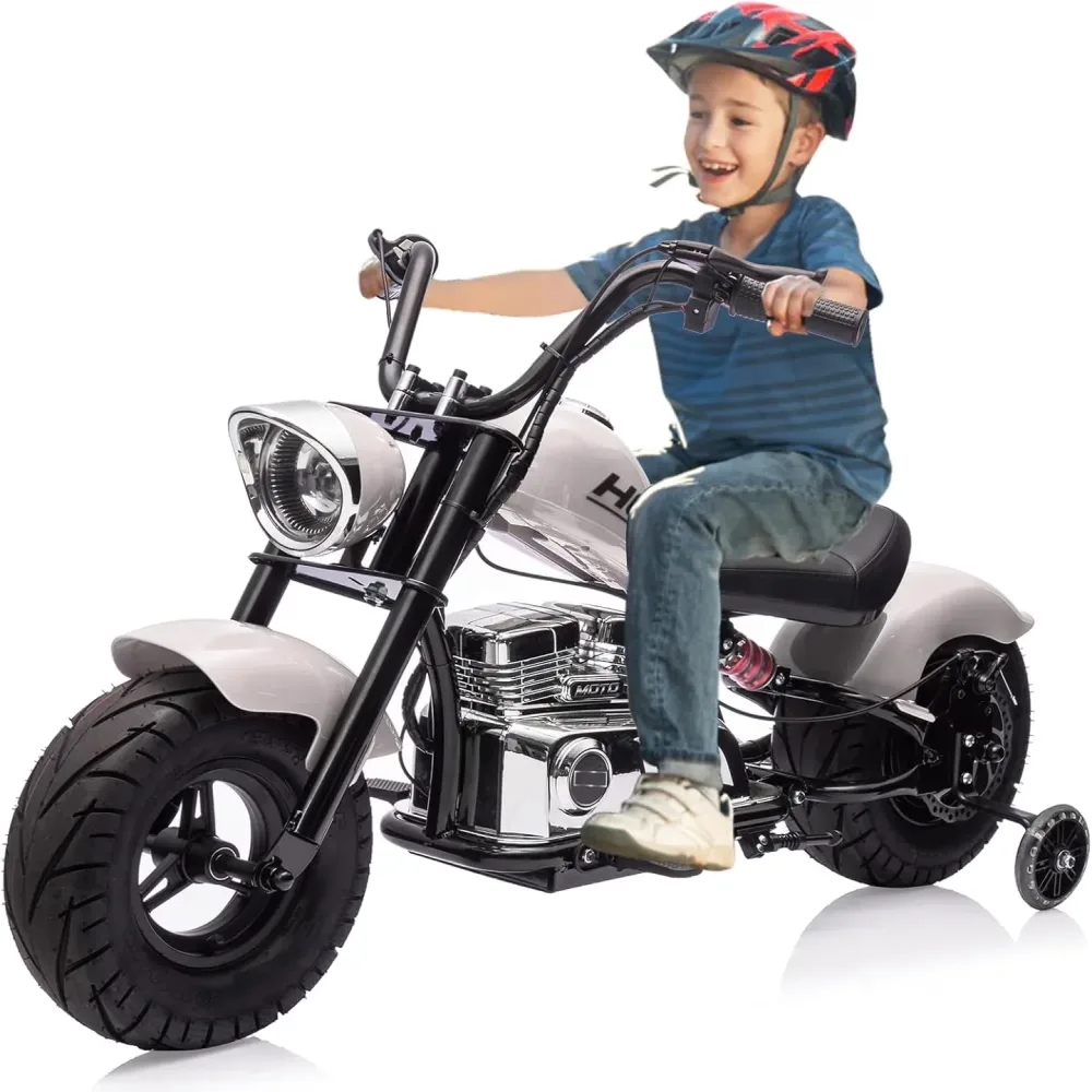 Dirt Bike 36v 350w 176lbs