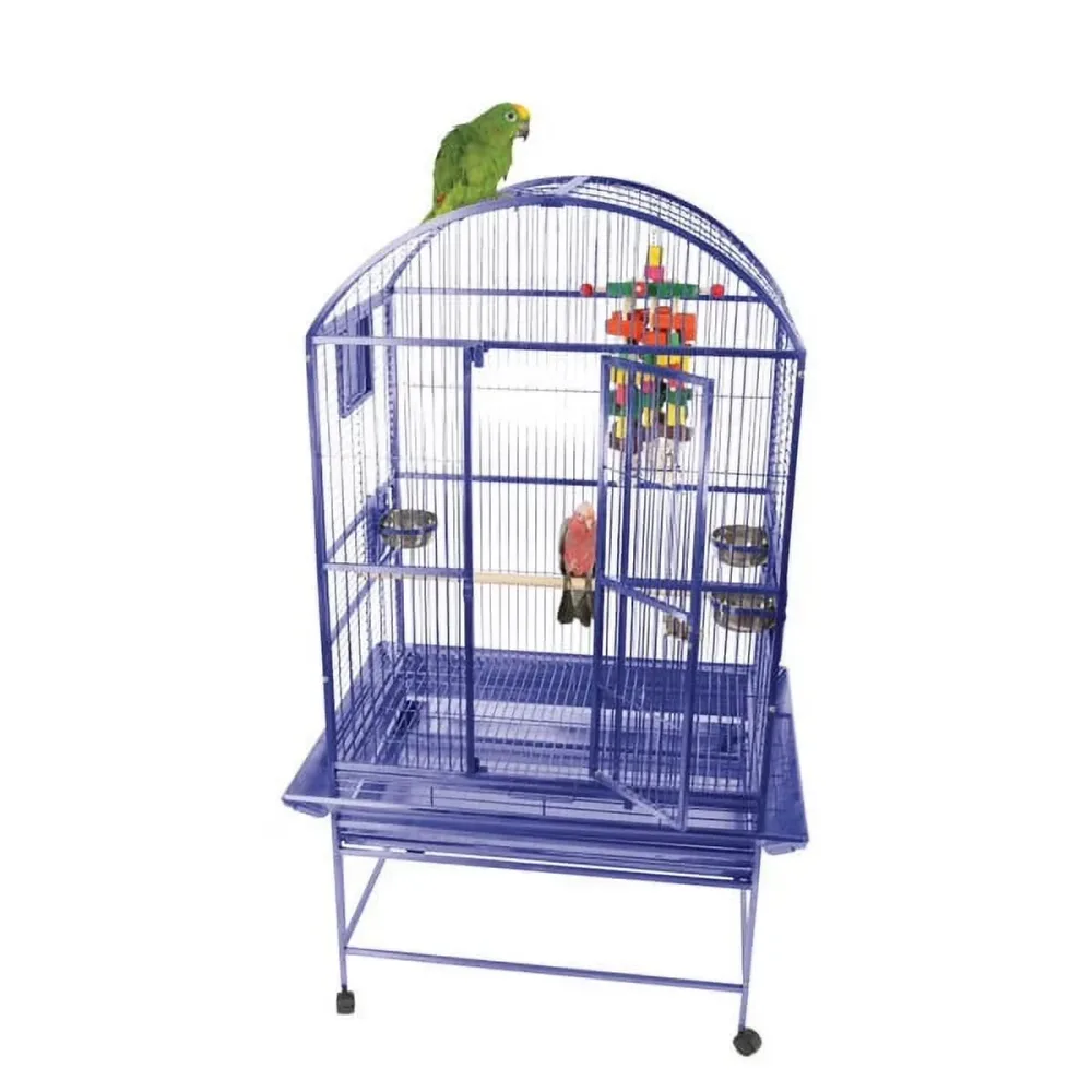 Top Bird
