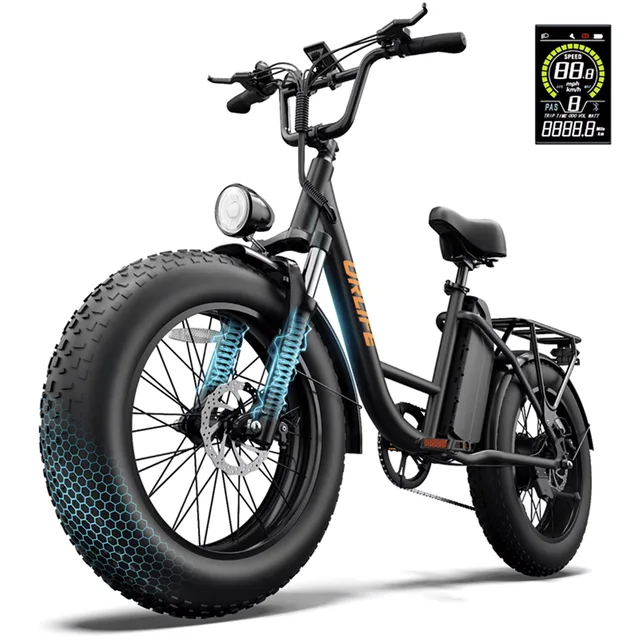 Ebike Electric 20" 750w 48v