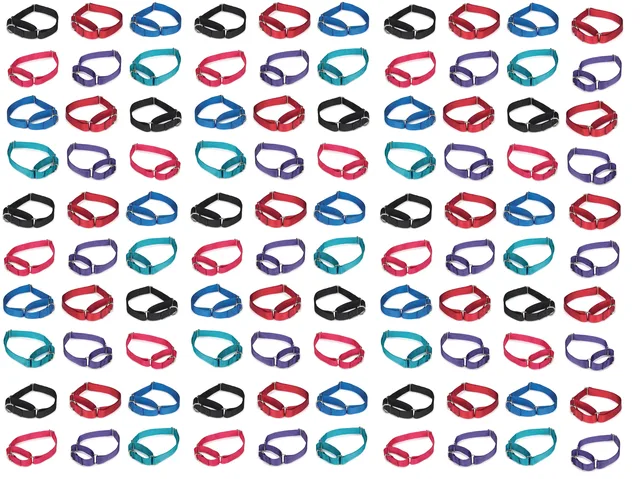 Dog Collar 16 inch 16 inches 20 inches