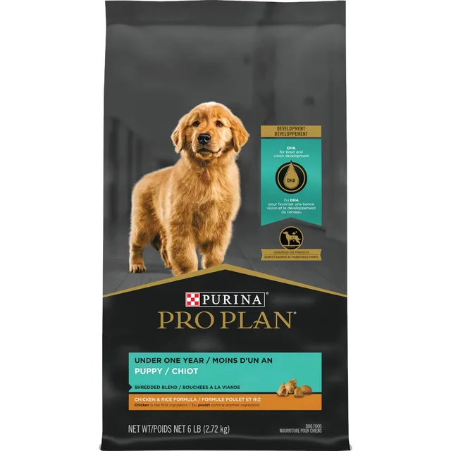 Puppy Food