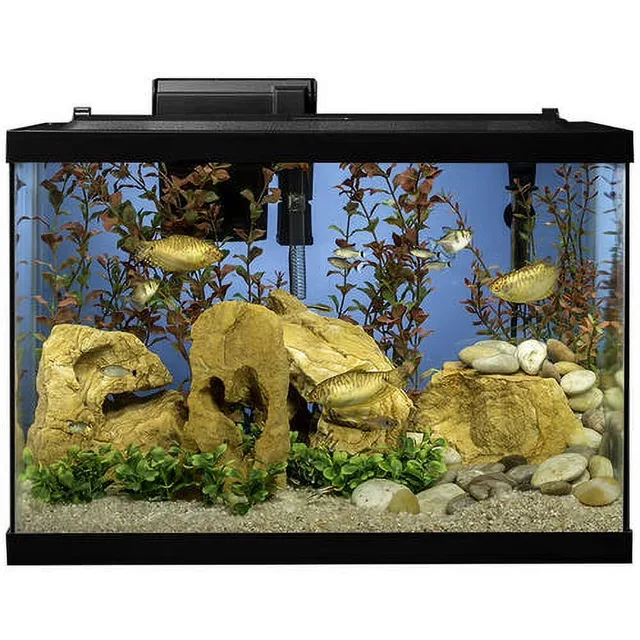 Fish Tank 20 gallon led 24 inches
