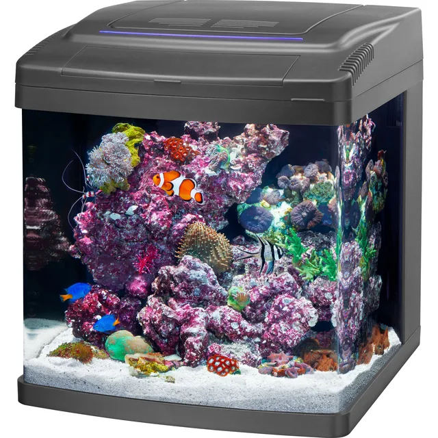 Tanks & Equipment 14 gallon led adjustable