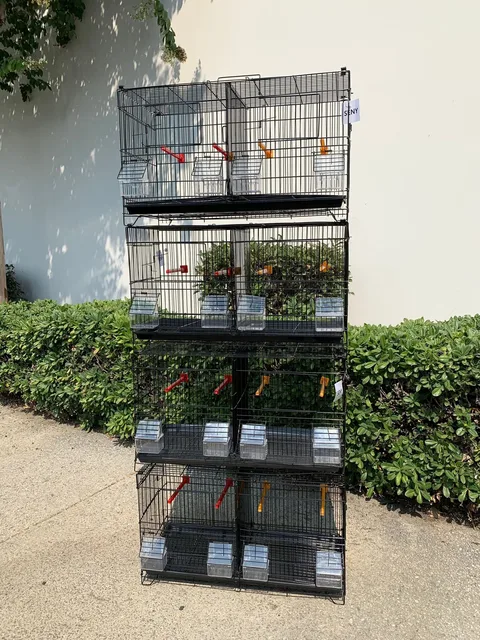 Bird Cage black 23" 10"
