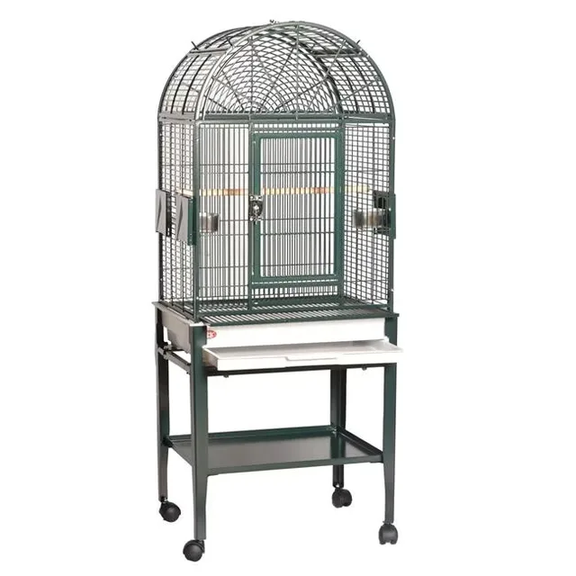 Bird Care 17 in green 22"
