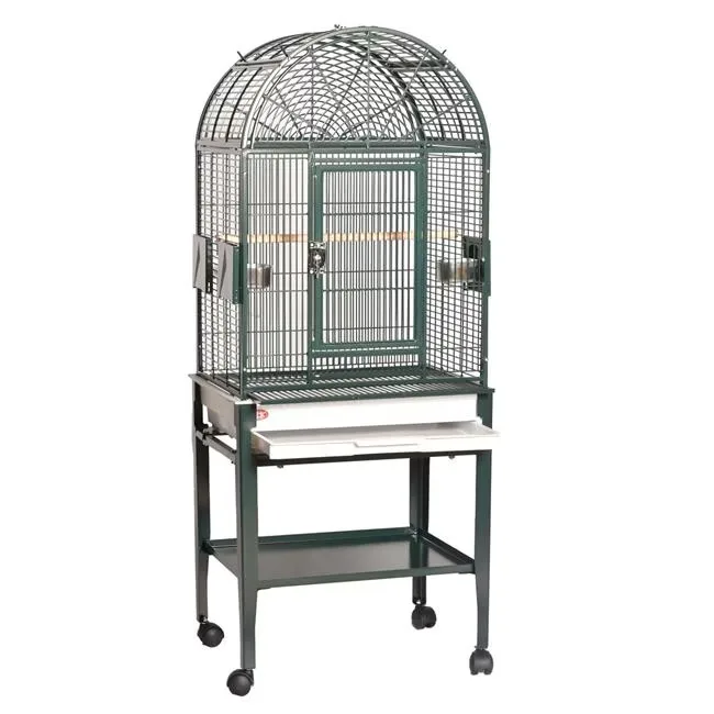 Bird Care 17 in green 22"