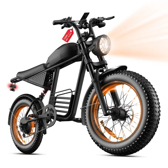 Electric Bike 750w 20" 48v