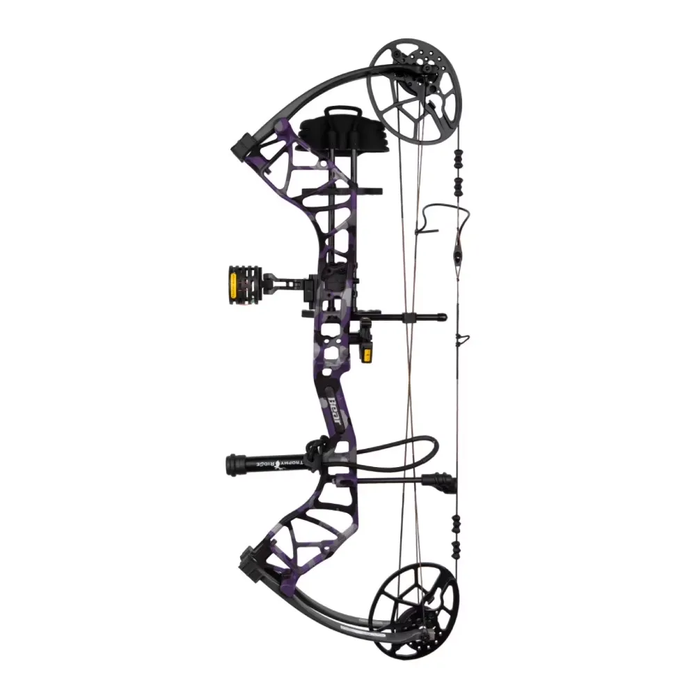 Compound Bow 10-70 lbs black 70 pounds