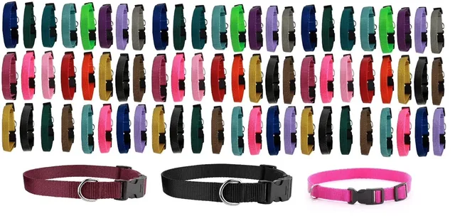 Dog Collar 20 inch adjustable