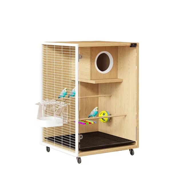 Birds