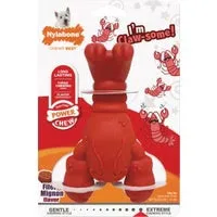 Dog Toy