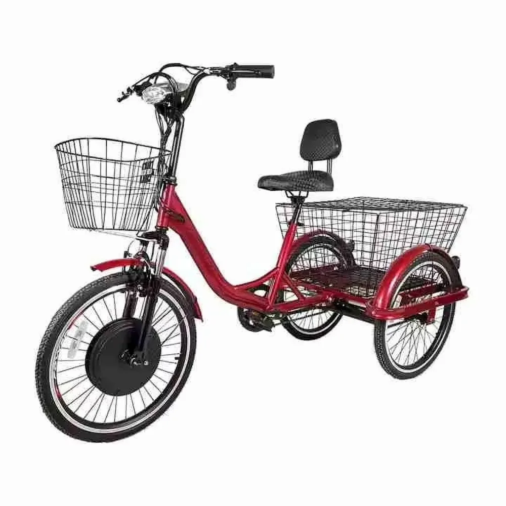 Motor Battery 1000w red blue