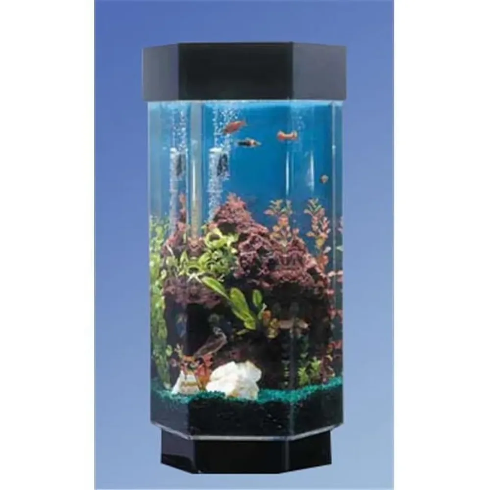 Tanks & Equipment 15.5 in 2" 31"
