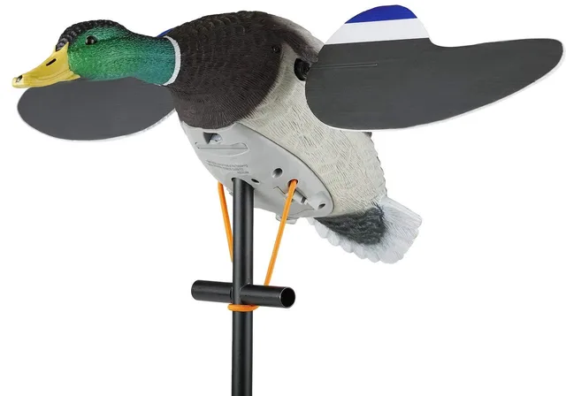 Hunting Gear 6v 42" 6 volt