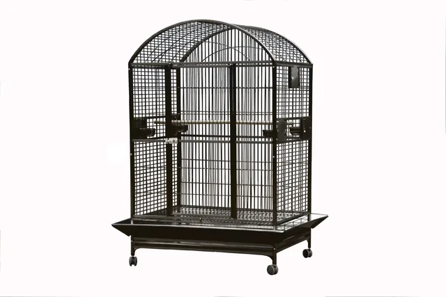 Top Bird black 76 in
